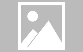 保山玉兔网站制作头像app（玉兔素材抠图）